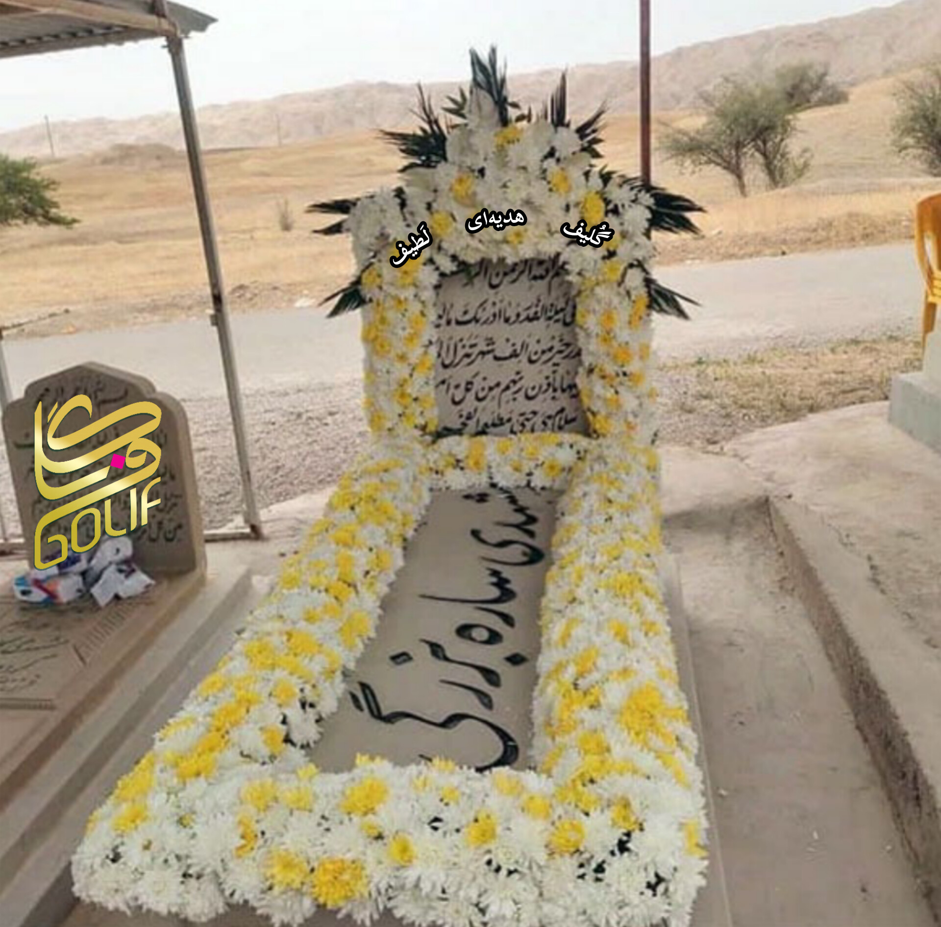 گل آرایی مزار دور مزار گل دور مزار گل دور سنگ قبر بهشت زهرا گل فروشی گلیف گلیف golif